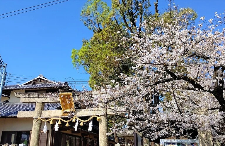 高槻市の訪問看護ステーションかすたねっとで看護師募集中！あなたの理想のキャリアをここからスタートしませんか？